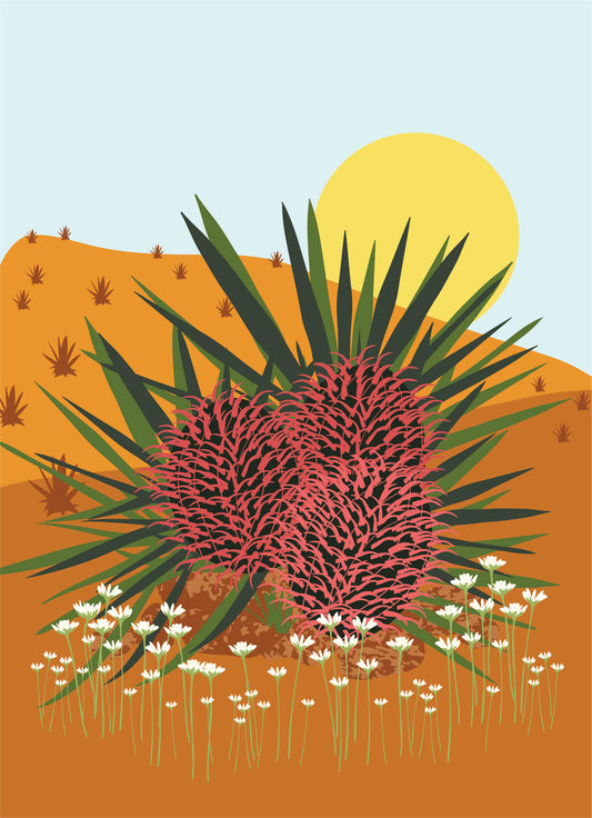 Barrel Cactus Sunrise Art Print