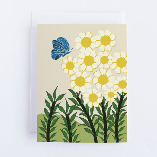 Daisies in the Field Greeting Card