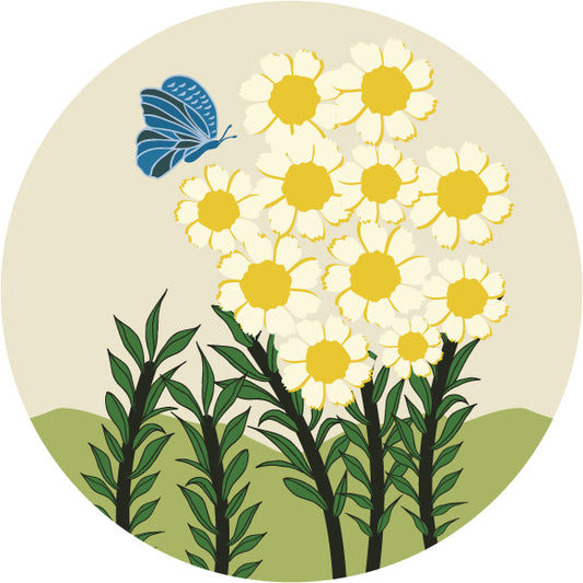Daisies in the Field Sticker