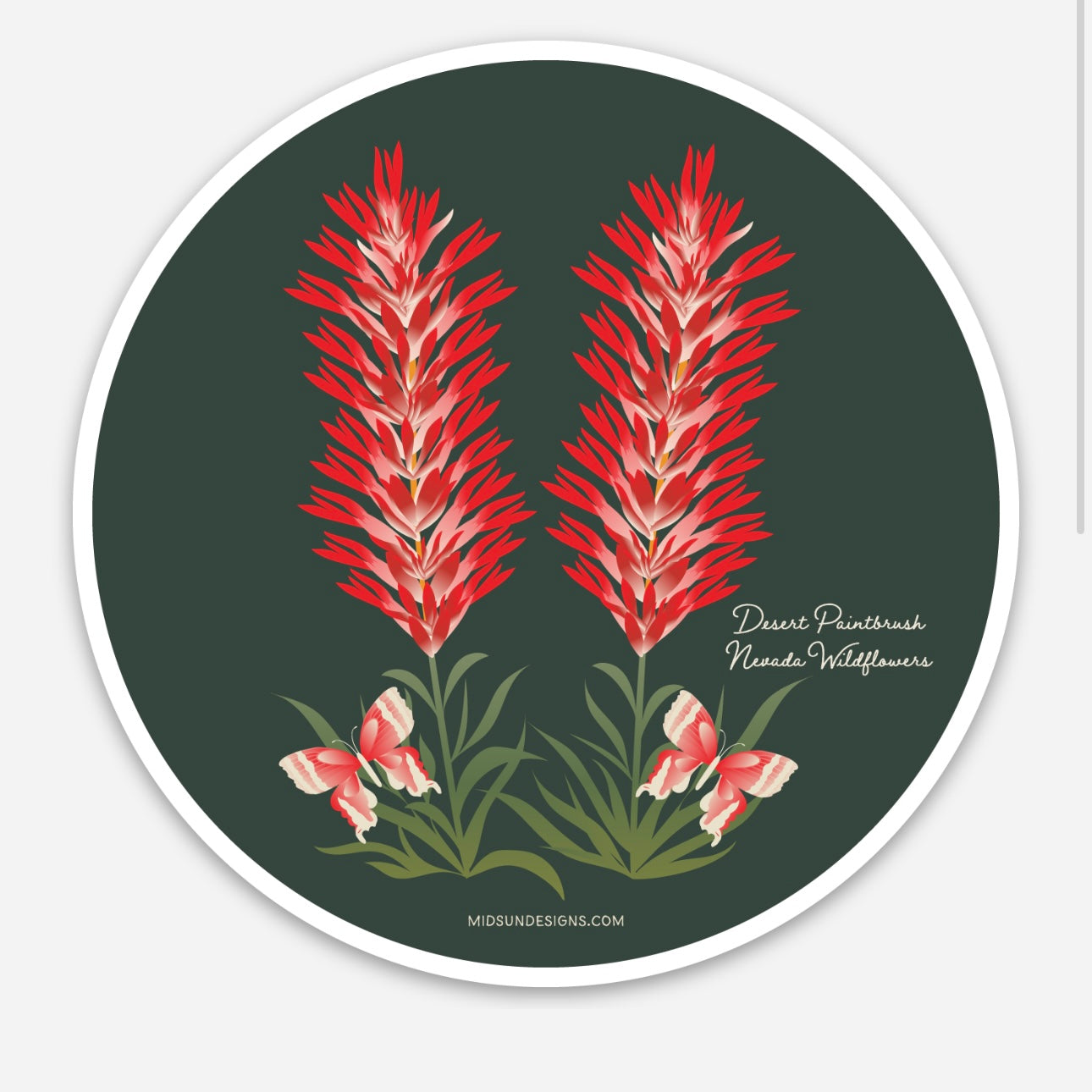 Desert Paintbrush Wildflower & Butterflies | 3 x 3 round sticker