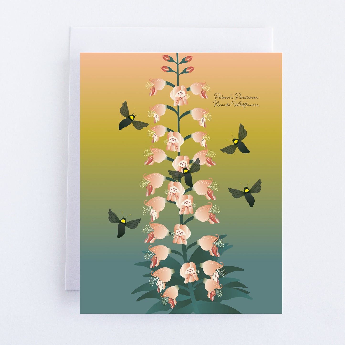 NV Wildflowers | Palmer's Penstemon Wildflower Notecard | Greeting Card