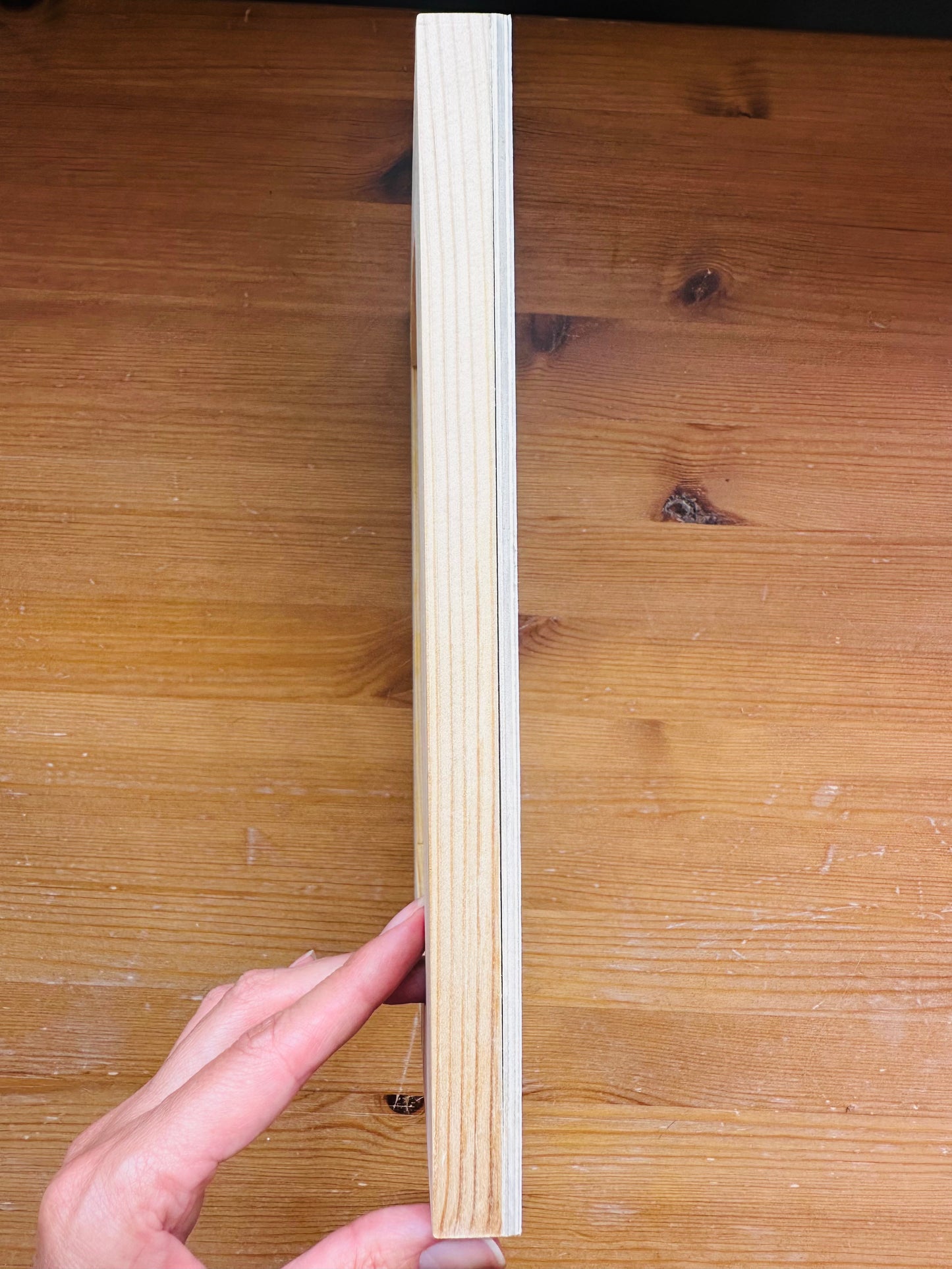 Las Vegas Parks & Rec Illustrated Map | 8x10 Wall Art on Wood Block