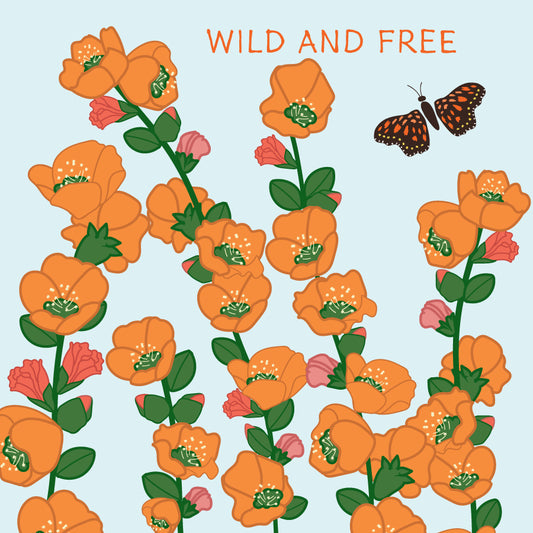 Wild and Free Globemallow Sticker
