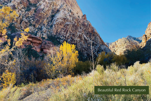 Beautiful Red Rock Canyon Postcard