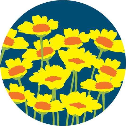 Daisies in Bloom Sticker