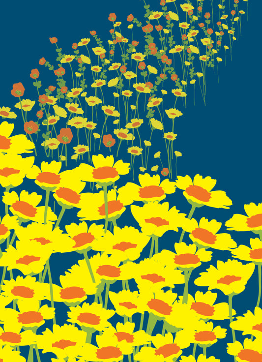 Desert Marigold Bloom Art Print