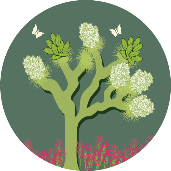 Joshua Tree in Bloom Sticker