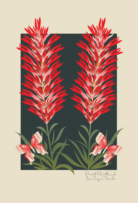 Desert Paintbrush Postcard | Las Vegas Nevada