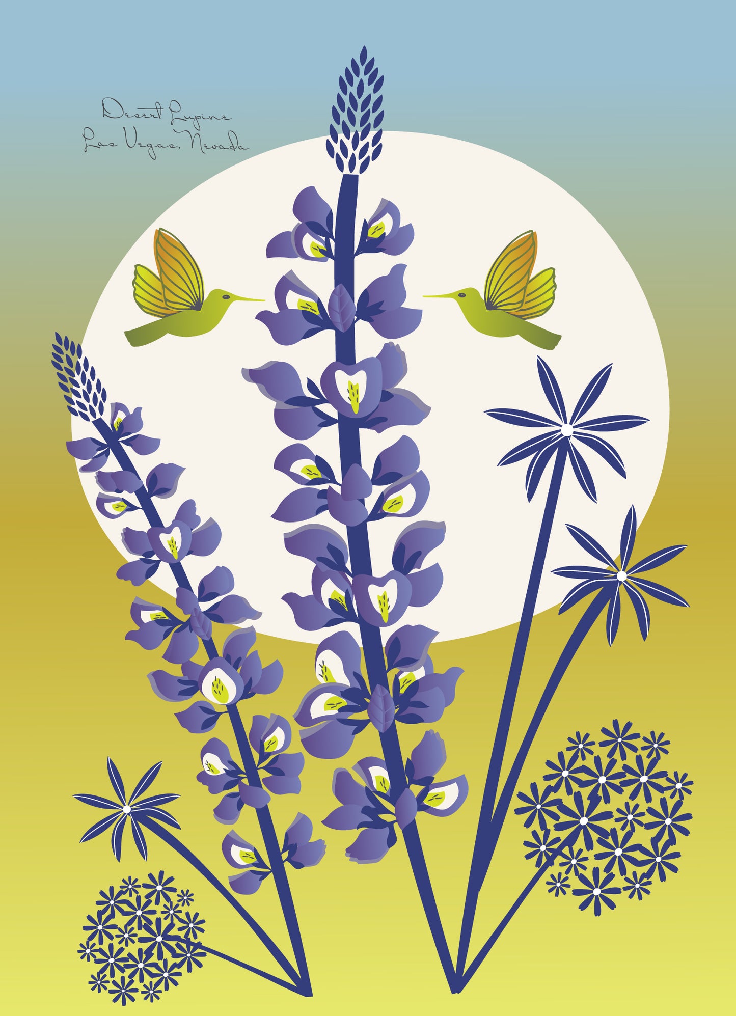 Desert Lupine & Hummingbird Art Print