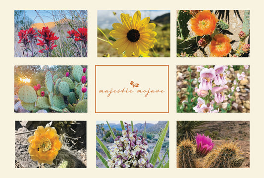 Desert Wildflowers II Montage Postcard
