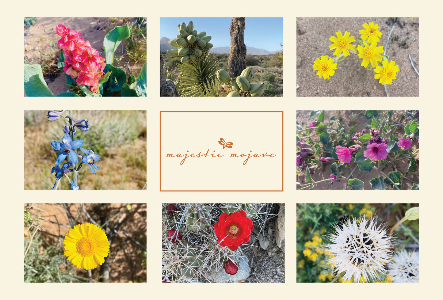 Desert Wildflowers I Montage Postcard