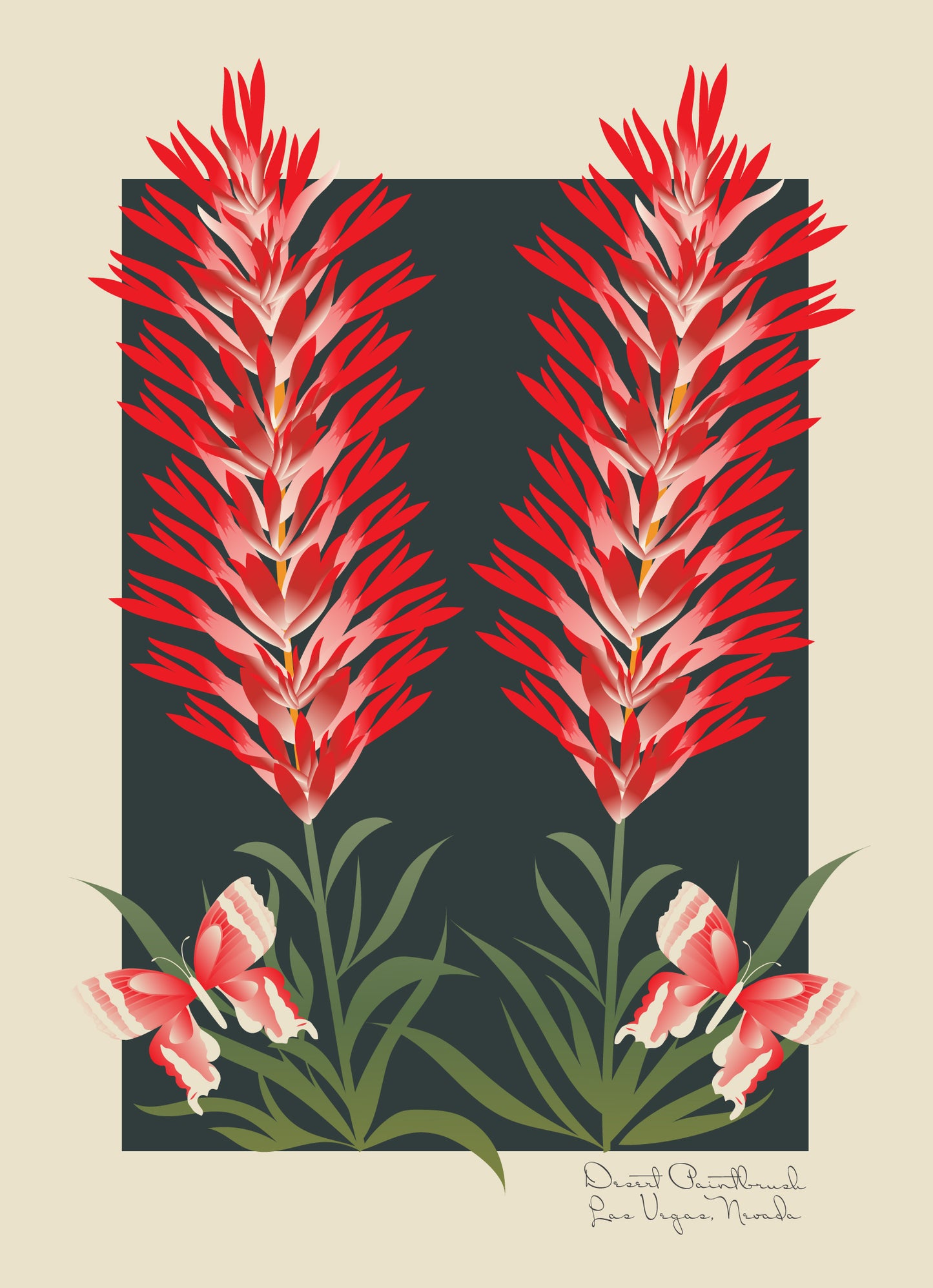 Desert Paintbrush Art Print