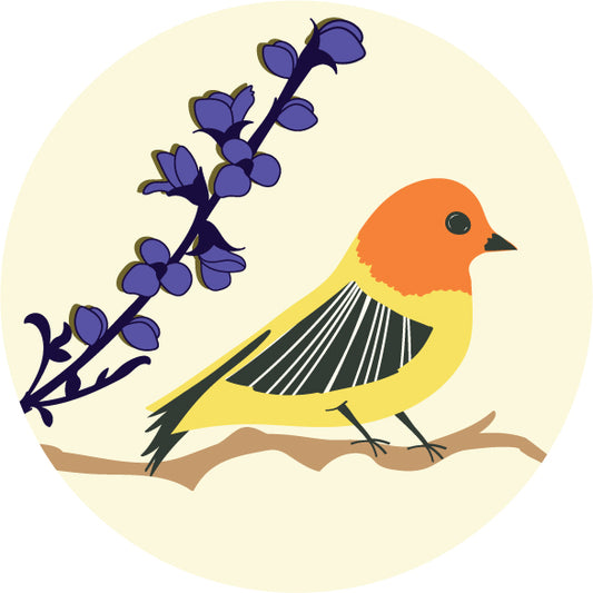 Western Tanager Bird Sticker